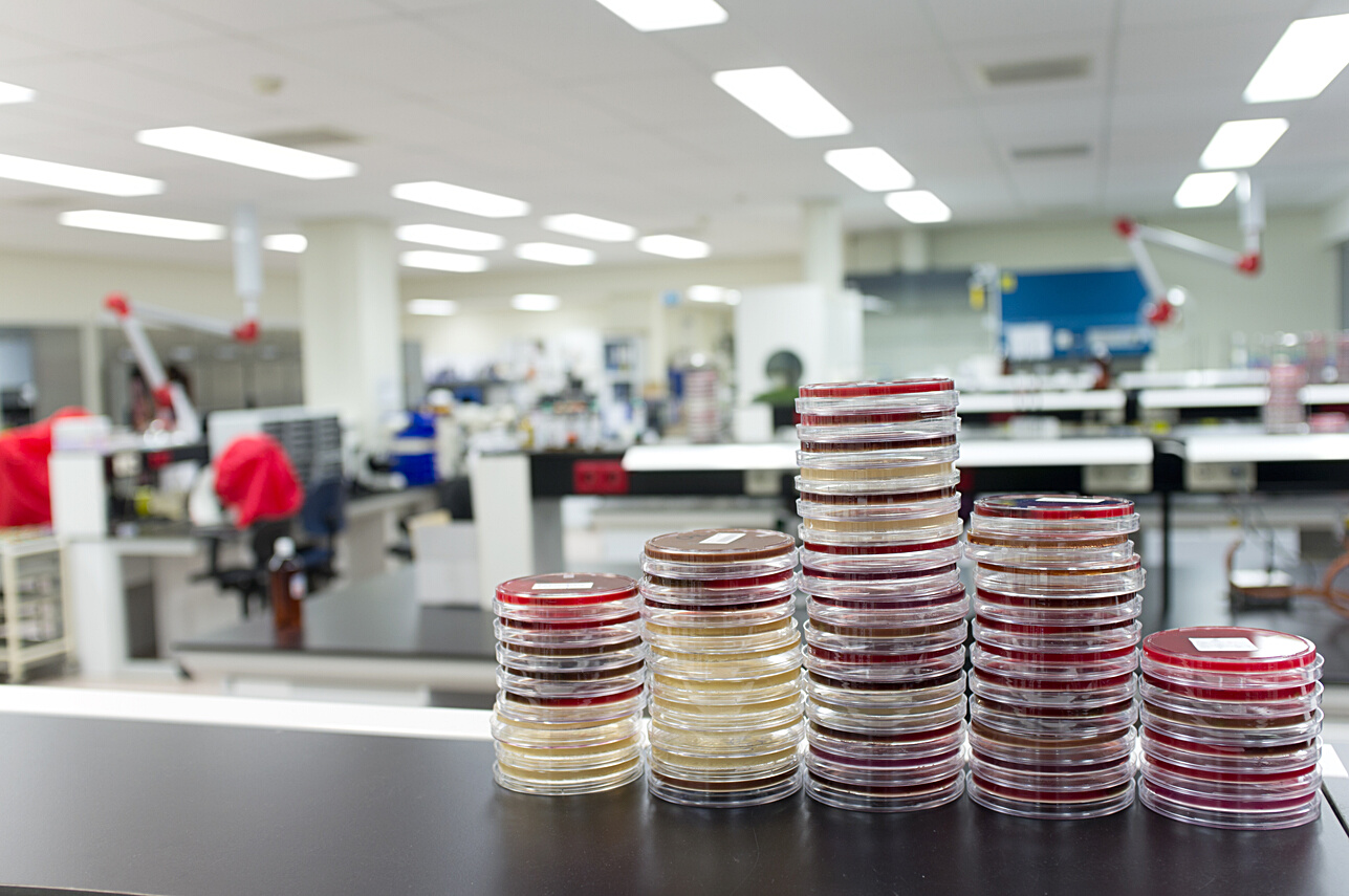 The Microbiology Laboratory